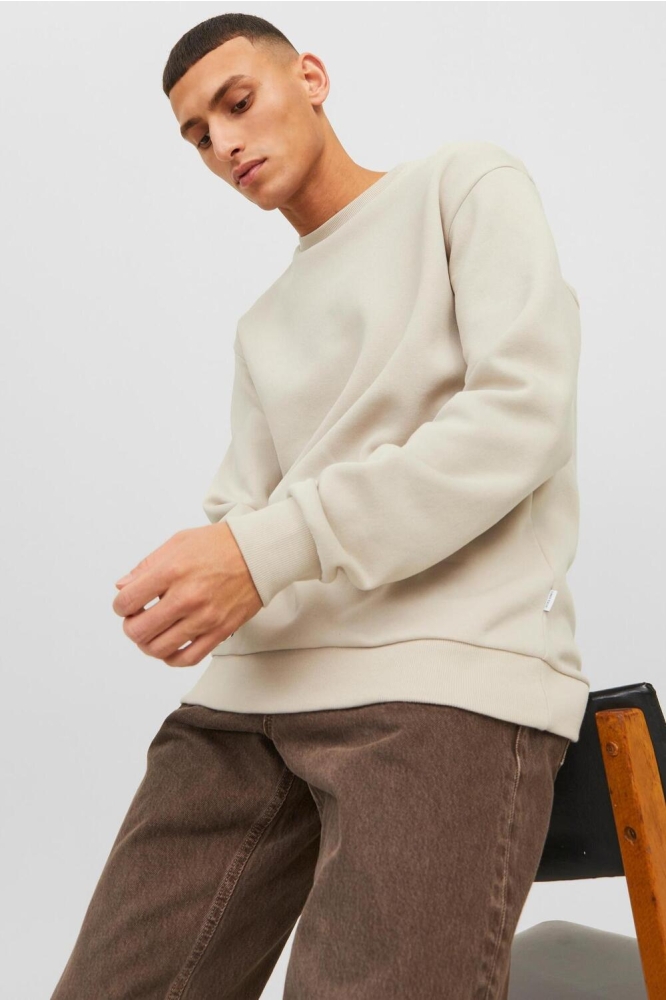 JJEBRADLEY SWEAT CREW NOOS 12249341 Moonbeam